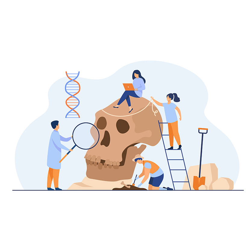 Anthropology and Archaeology